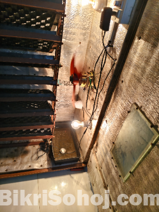 ১৪০০ মুরগির বাচ্চা পালন হ্যাচার এবং সেটার